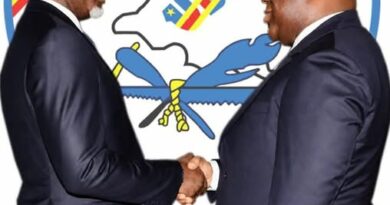 SERGE MONGULU CHOISI SON CAMP POLITIQUE : L&rsquo;UDPS-TSHISEKEDI